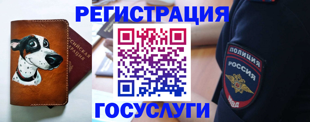 временная регистрация в квартире в Бикине